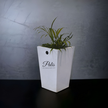 Load image into Gallery viewer, Pyramid Planter A1