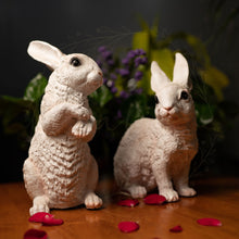 Load image into Gallery viewer, Cute Bunny - Set of 2