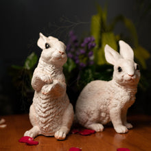Load image into Gallery viewer, Cute Bunny - Set of 2