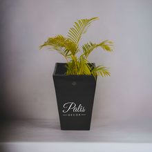 Load image into Gallery viewer, Pyramid Planter A2