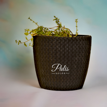 Load image into Gallery viewer, Basket Planter