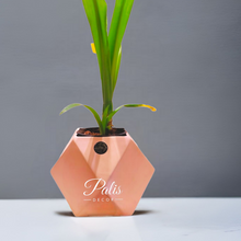 Load image into Gallery viewer, Diamond Planter