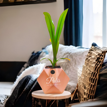 Load image into Gallery viewer, Diamond Planter