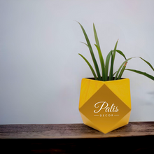 Load image into Gallery viewer, Diamond Planter