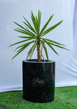 Load image into Gallery viewer, Cylinder Planter Medium