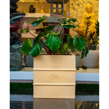 Load image into Gallery viewer, Small Square Planter A1