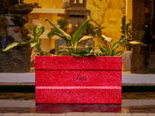 Load image into Gallery viewer, MEDIUM RECTANGULAR / SMALL RECTANGULAR A2 PLANTER