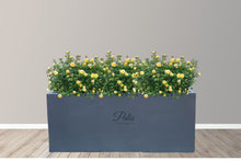 Load image into Gallery viewer, Rectangular A1 Planter (36 x 18 x 18)
