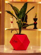 Load image into Gallery viewer, Diamond Planter