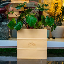 Load image into Gallery viewer, Big Square Planter