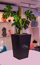 Load image into Gallery viewer, Pyramid Planter A1