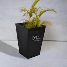Load image into Gallery viewer, Pyramid Planter A2