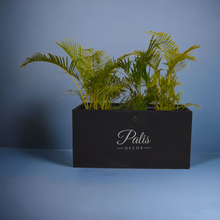 Load image into Gallery viewer, Rectangular A1 Planter (36 x 18 x 18)