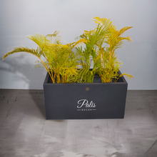 Load image into Gallery viewer, Rectangular A1 Planter (36 x 18 x 18)