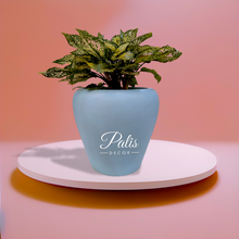 Load image into Gallery viewer, Apple Planter