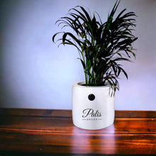 Load image into Gallery viewer, Cylinder Planter Medium