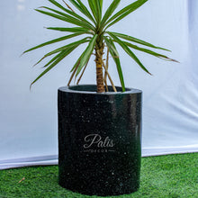 Load image into Gallery viewer, Cylinder Planter Small
