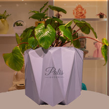 Load image into Gallery viewer, Herring bone Planter Big