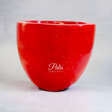 Load image into Gallery viewer, Hins Planter