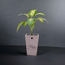 Load image into Gallery viewer, Pyramid Planter A1