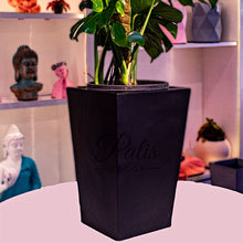 Load image into Gallery viewer, Pyramid Planter A1