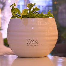 Load image into Gallery viewer, Step Curve Planter