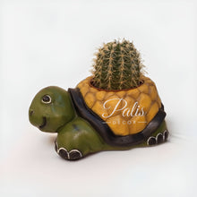 Load image into Gallery viewer, Tortoise Planter A2