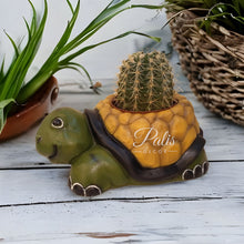 Load image into Gallery viewer, Tortoise Planter A2
