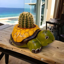 Load image into Gallery viewer, Tortoise Planter A2