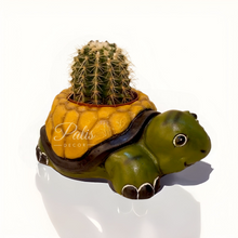 Load image into Gallery viewer, Tortoise Planter A2