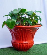 Load image into Gallery viewer, Antique Flower Planter
