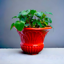 Load image into Gallery viewer, Antique Flower Planter
