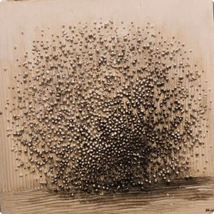 Silent Burst 3D