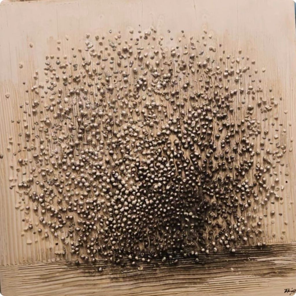 Silent Burst 3D