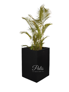 Square Planter 36 Inch Height