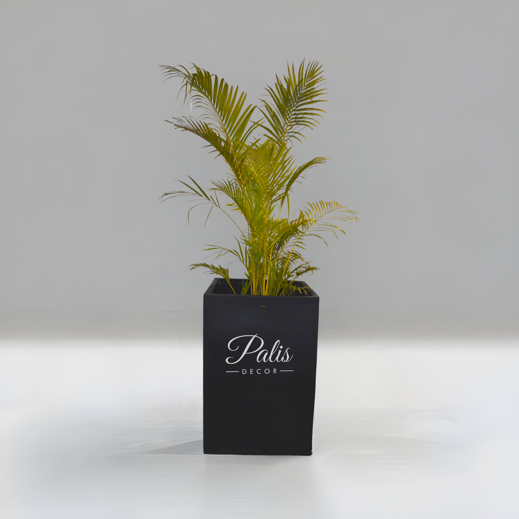 Square Planter 25 Inch Height