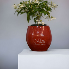Load image into Gallery viewer, big ace planter
