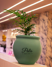 Load image into Gallery viewer, Mini Ace Planter
