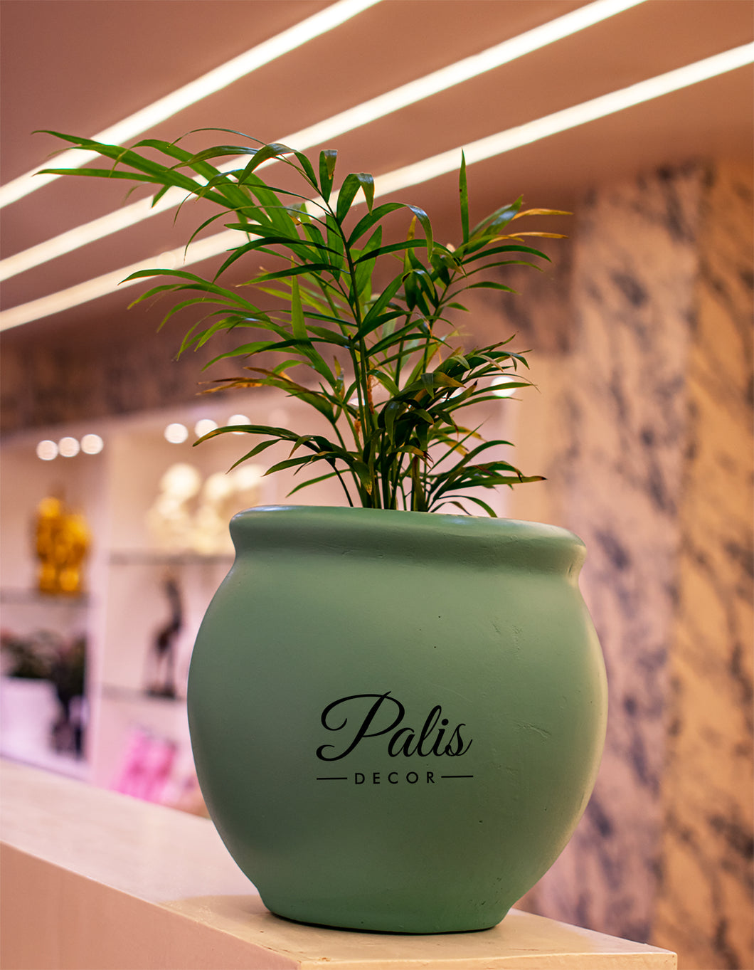 Mini Ace Planter