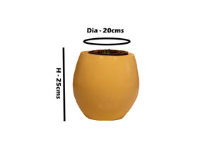 Medium Ace Planter