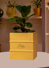 Load image into Gallery viewer, Medium Square Planter A2
