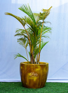 Hammer Planter