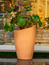 Load image into Gallery viewer, big woobly plant pot
