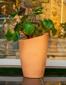 big woobly plant pot