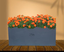 Load image into Gallery viewer, Rectangular A3 Planter

