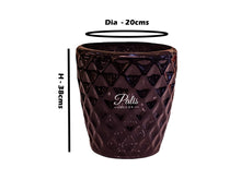 Load image into Gallery viewer, Pine Apple Planter
