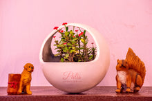 Load image into Gallery viewer, Mniature Hanging Planter
