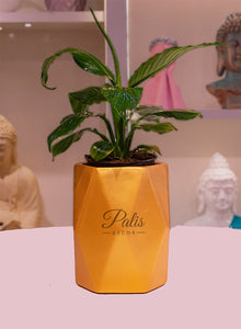 GEOMETRIC PLANTER
