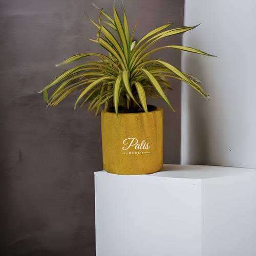 Small cylinder planter Palis decor