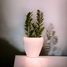 Load image into Gallery viewer, Apple Planter

